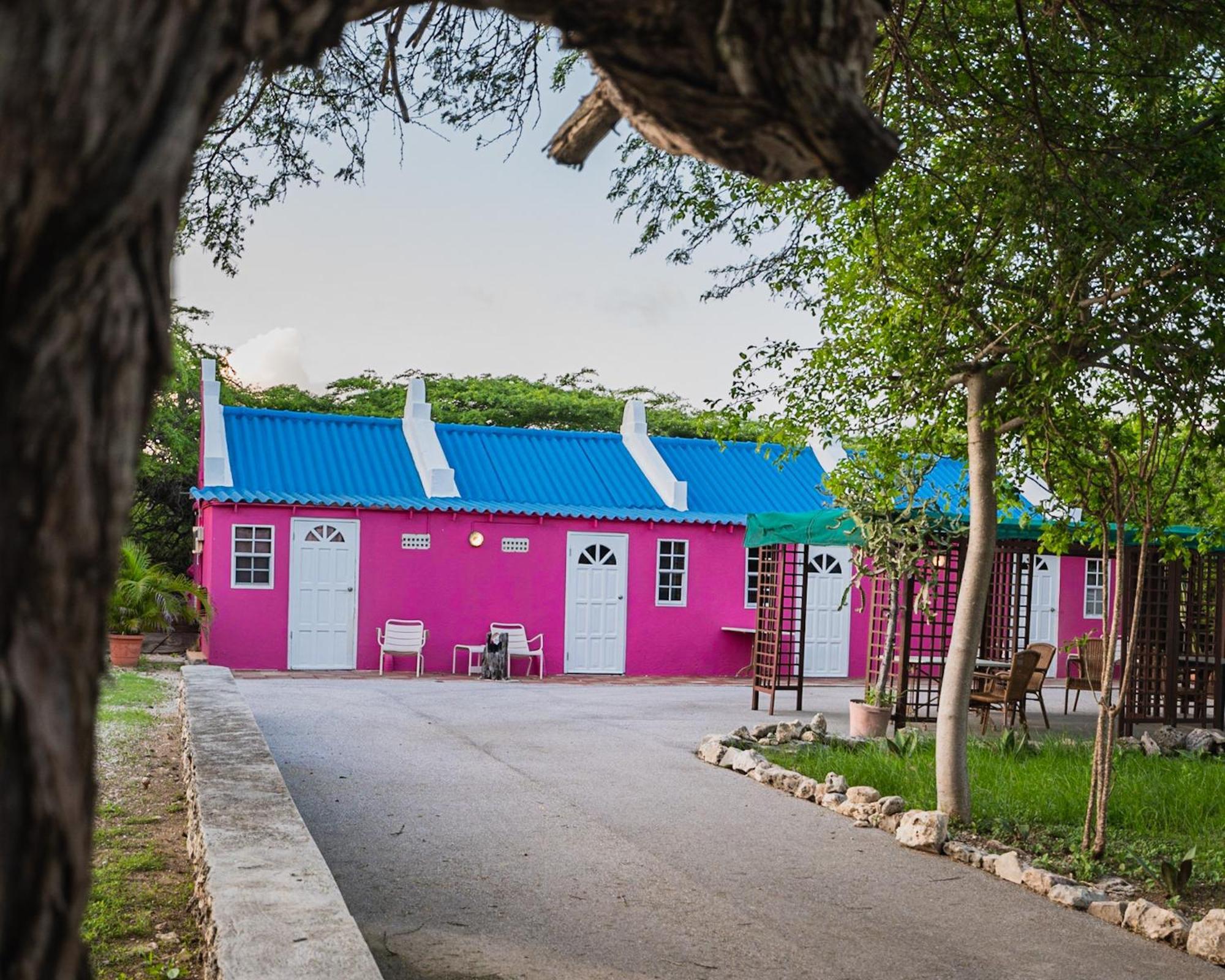 Landhuis Daniel - Plantation House Tera Kora Екстериор снимка