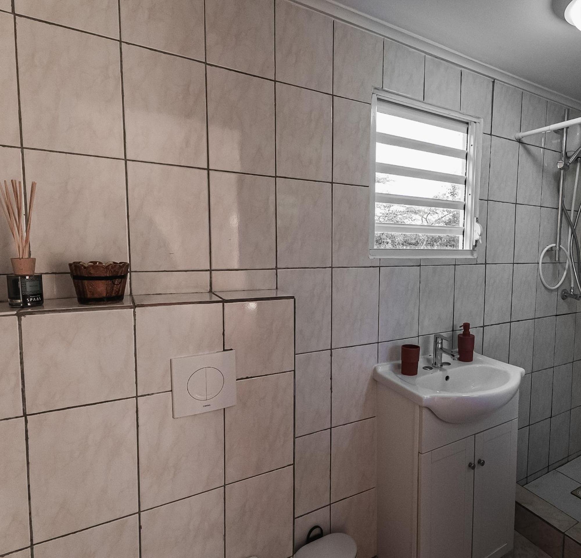 Landhuis Daniel - Plantation House Tera Kora Екстериор снимка